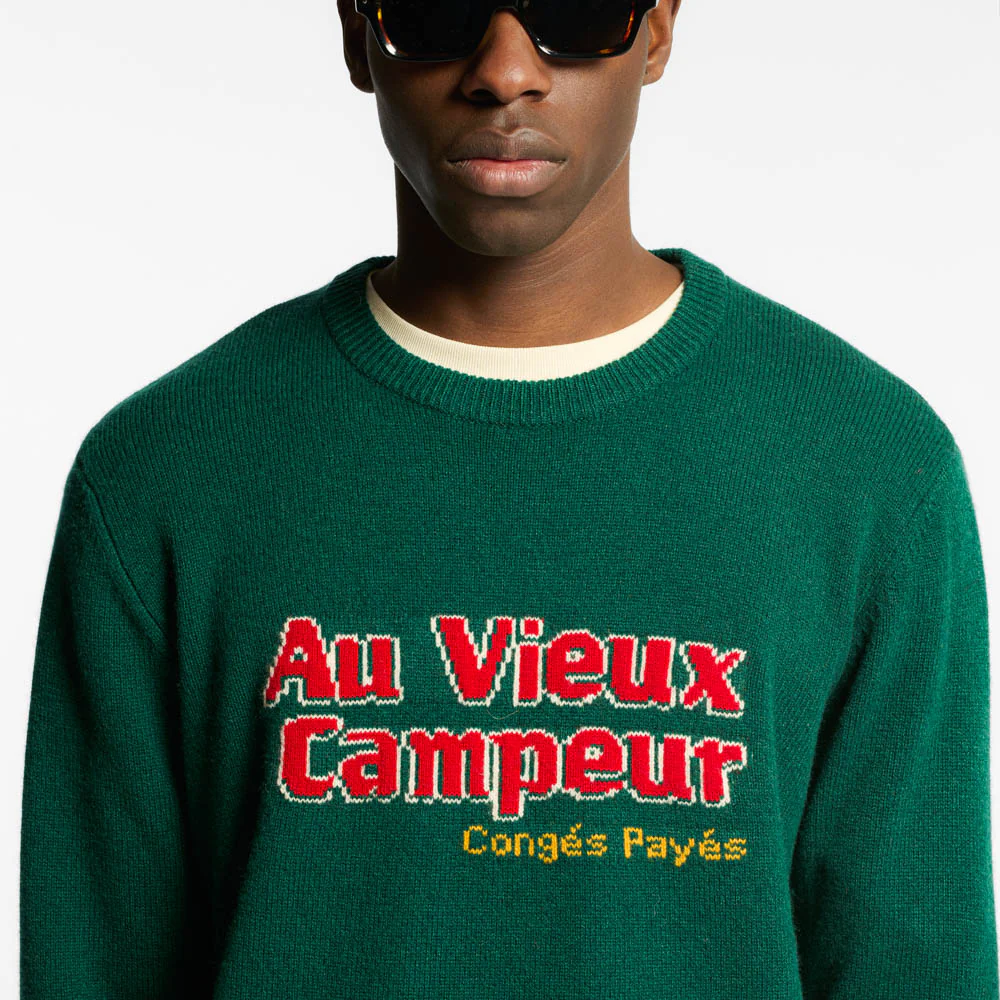 Au Vieux Campeur - Pull Robert - Vert ForĂȘt - Image 4
