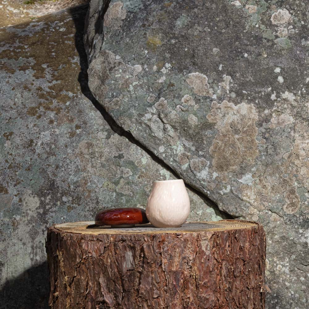 Boîte champignon en faïence - Image 7