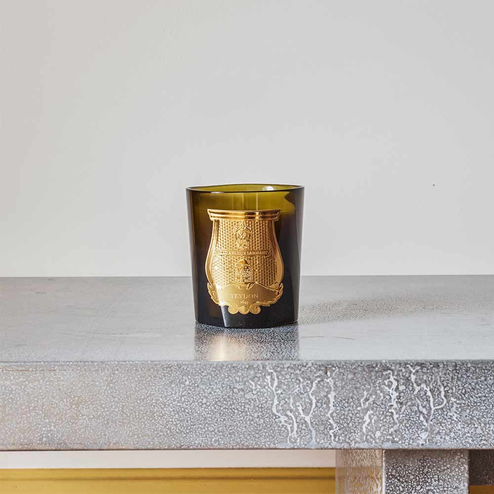 Trudon - Bougie parfumée 270 g - Madeleine
