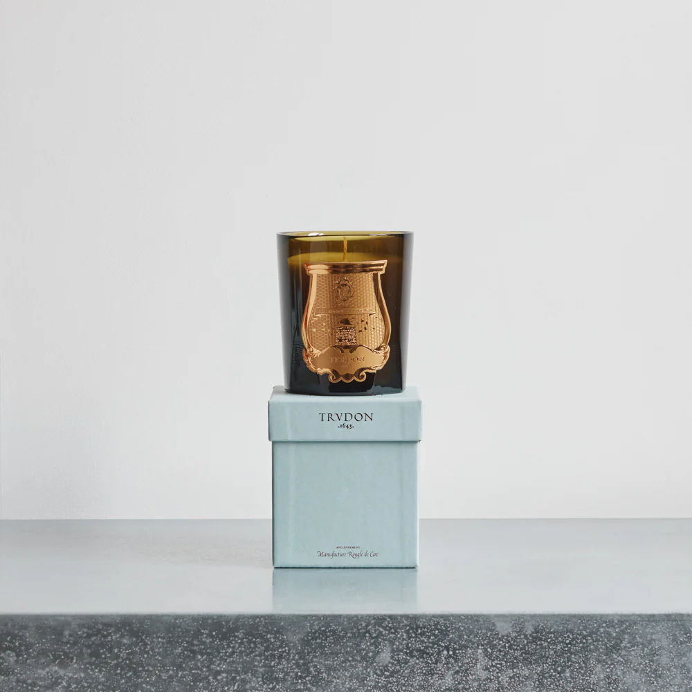Trudon - Bougie parfumée 270 g - Spiritus Sancti - Image 3