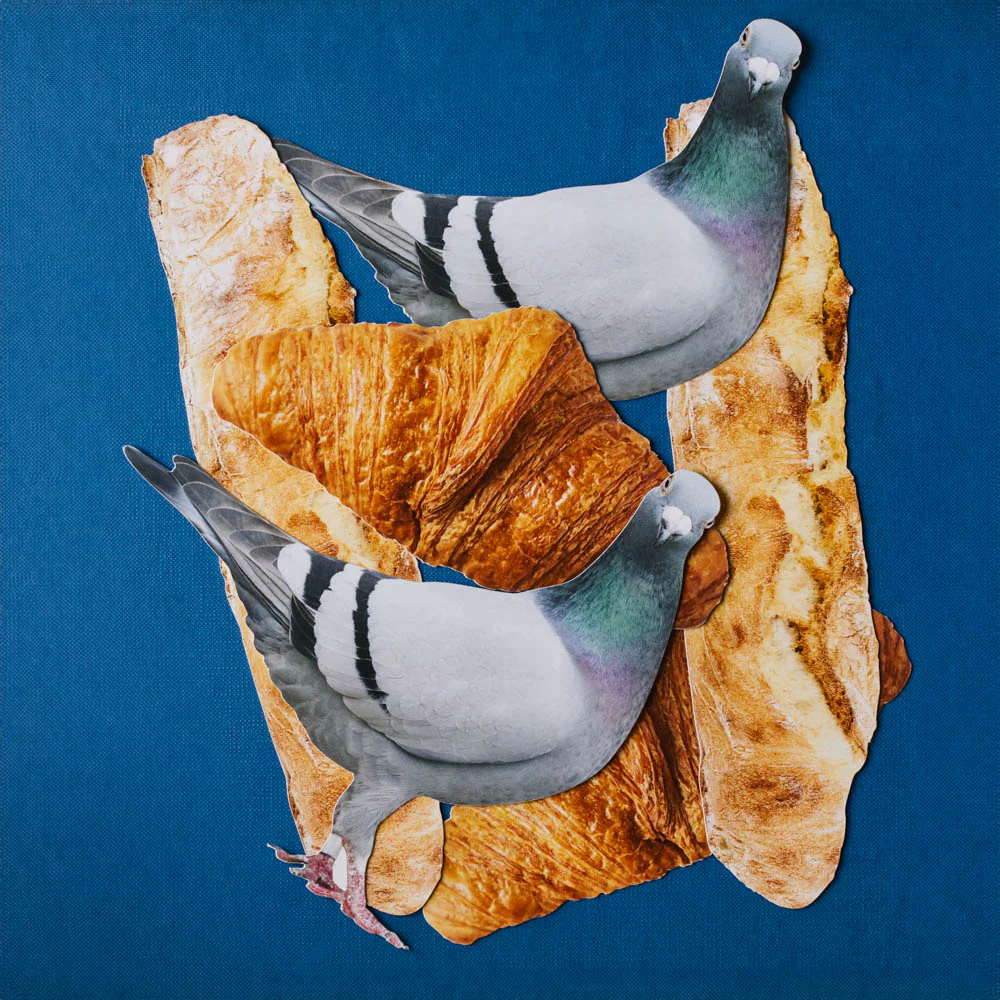 Carte Postale Merci - Pigeon - Image 3