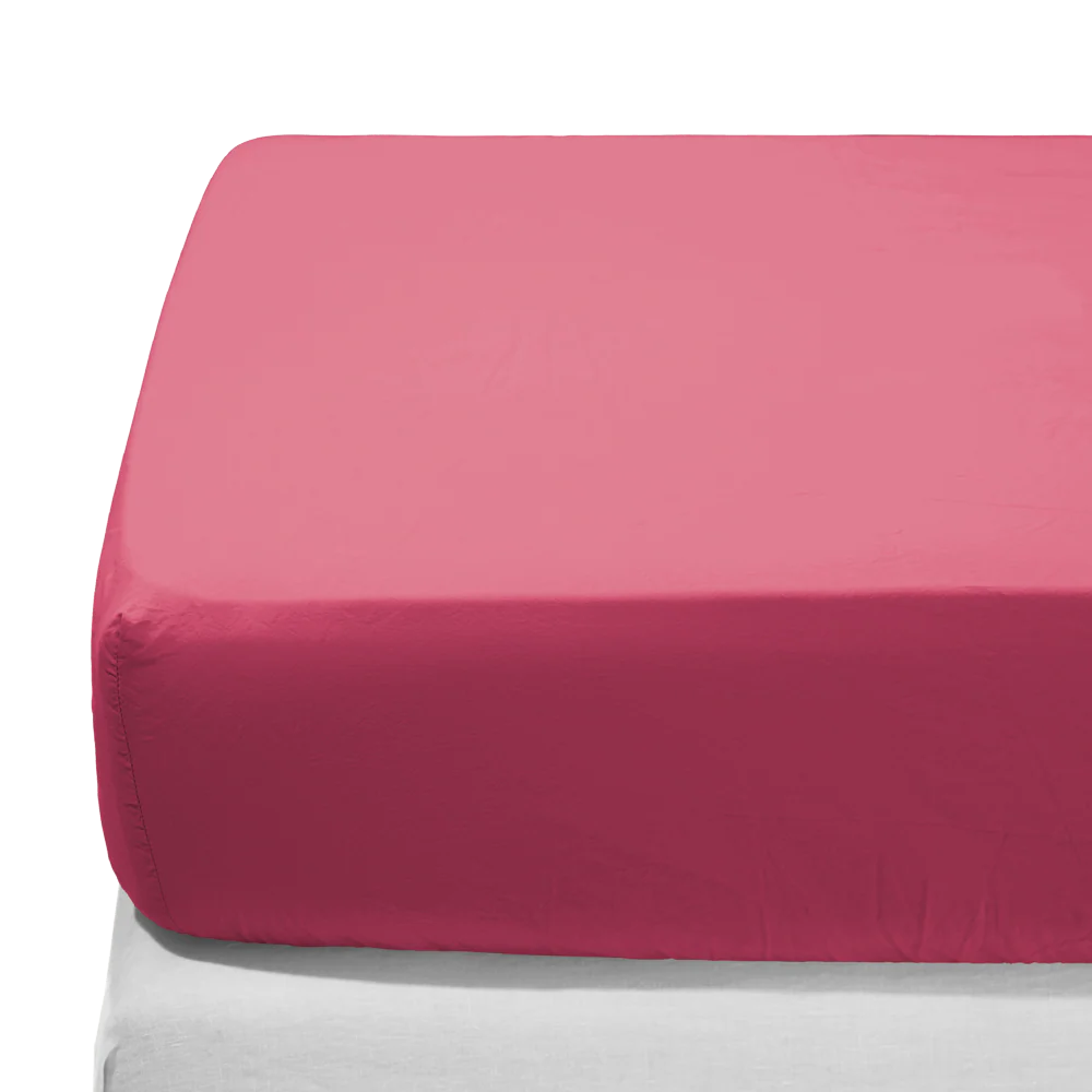 Drap-housse en percale de coton - Rose Club - Image 3