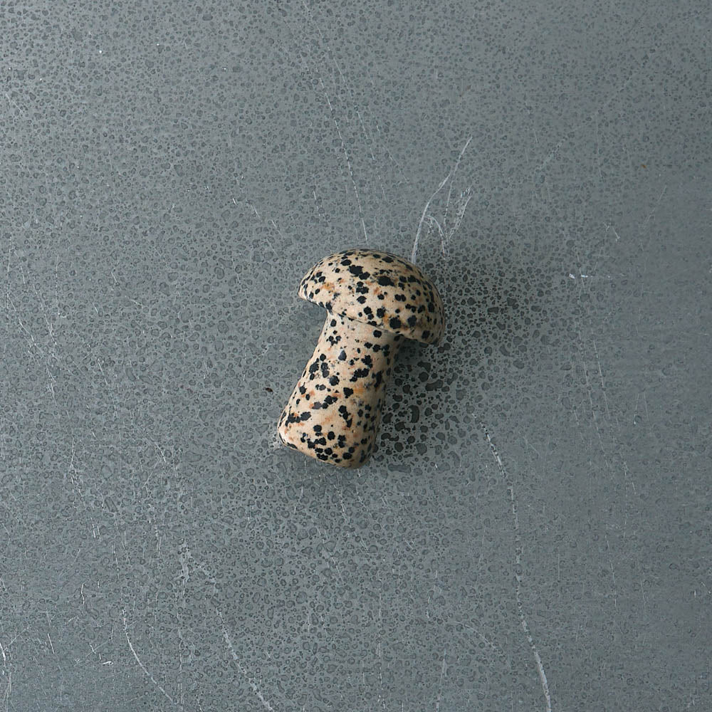 Gua Shroom - Dalmatian