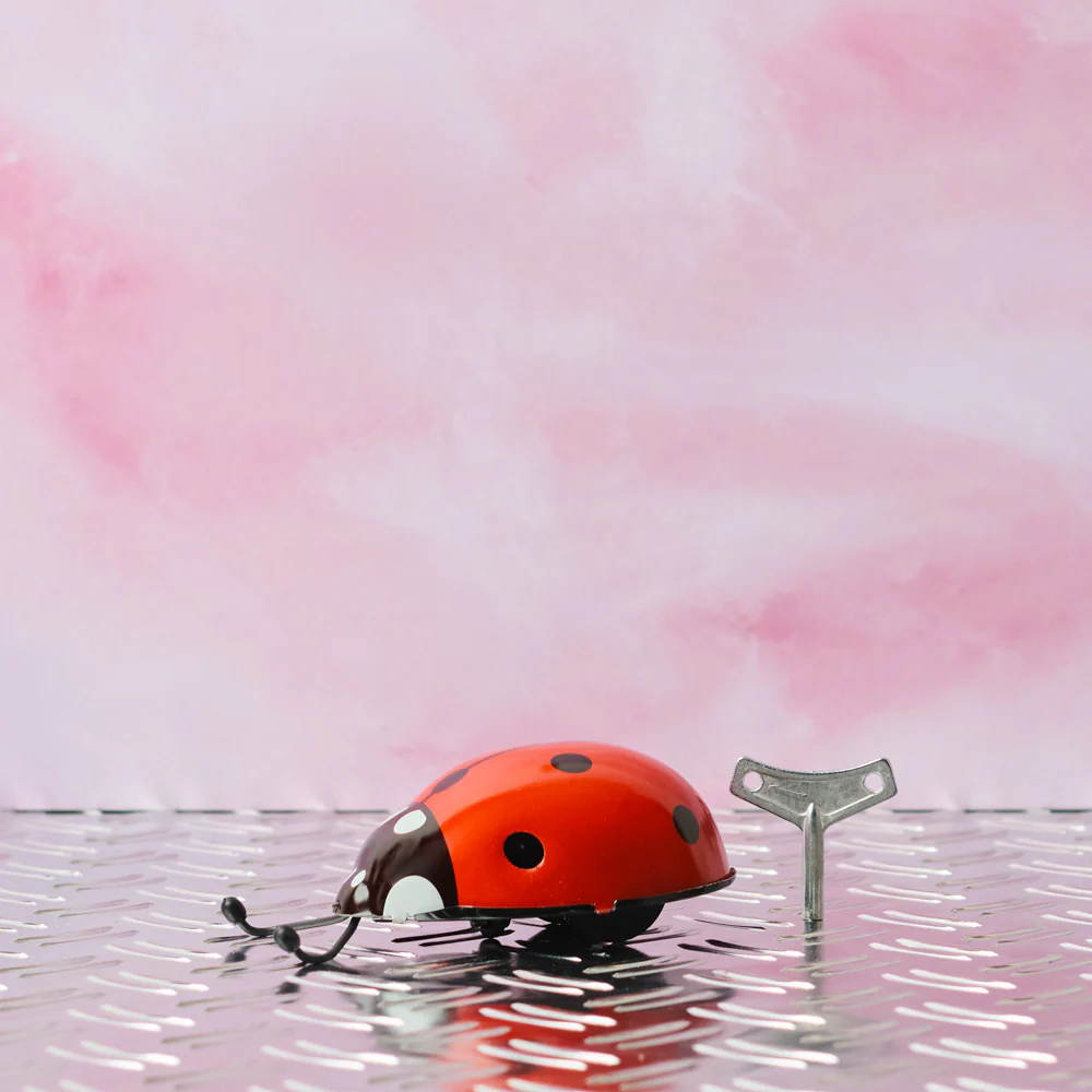 Jouet - Coccinelle Rouge