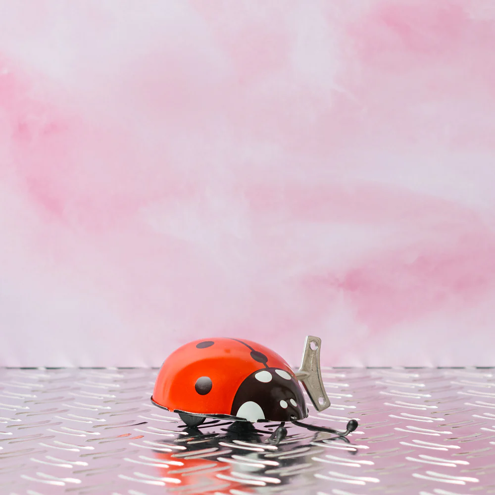Jouet - Coccinelle Rouge - Image 2