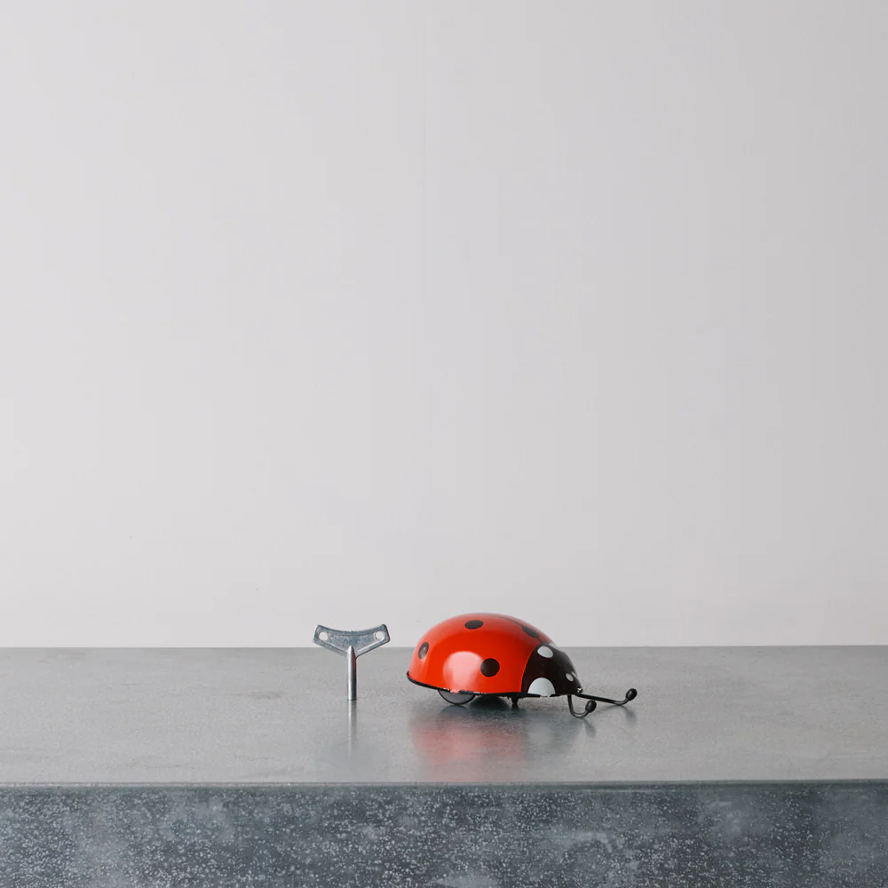 Jouet - Coccinelle Rouge - Image 5