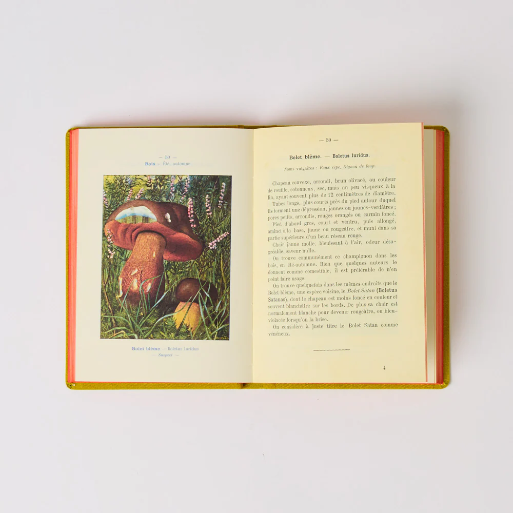 Livre Atlas - Champignons - Image 3