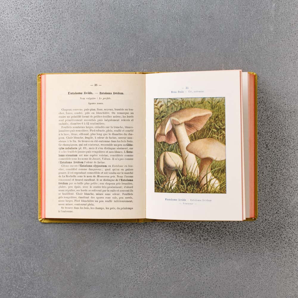 Livre Atlas - Champignons - Image 6