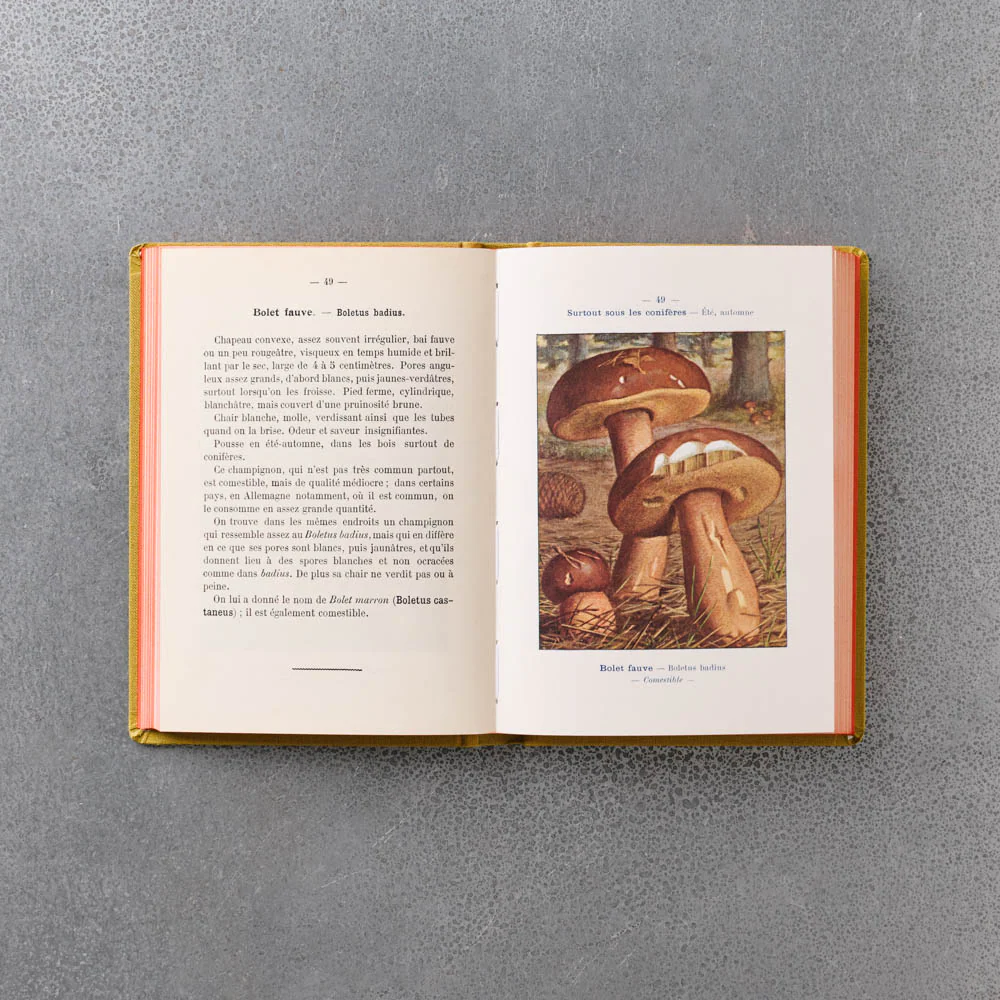 Livre Atlas - Champignons - Image 7