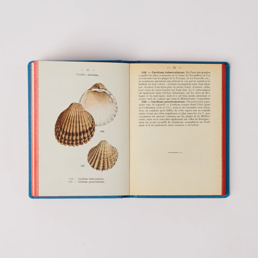 Livre Atlas - Coquilles des CĂ´tes - Image 3