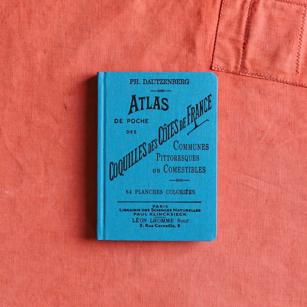 Livre Atlas - Coquilles des CĂ´tes - Image 5