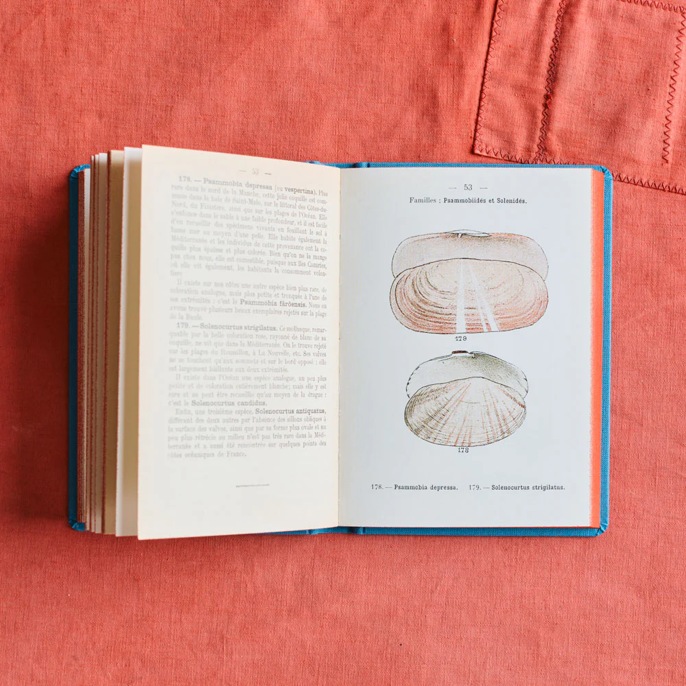 Livre Atlas - Coquilles des CĂ´tes - Image 7