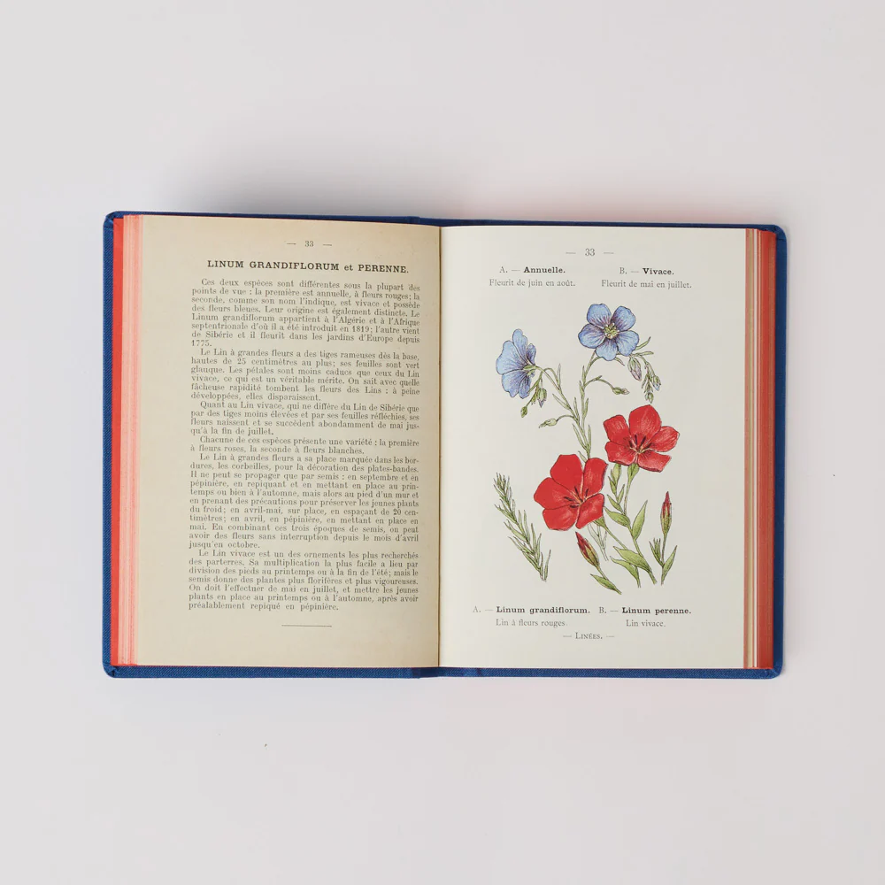 Livre Atlas - Fleurs de Jardins - Image 3