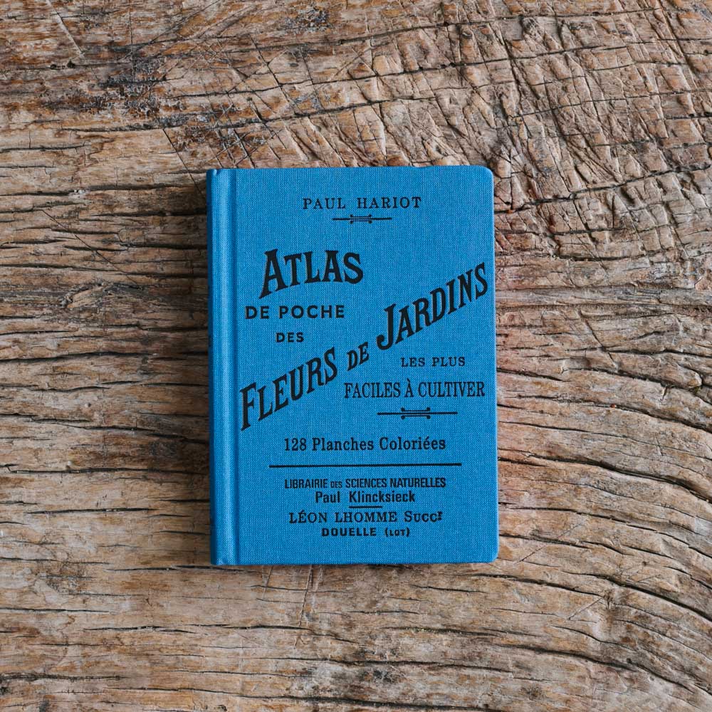 Livre Atlas - Fleurs de Jardins - Image 5