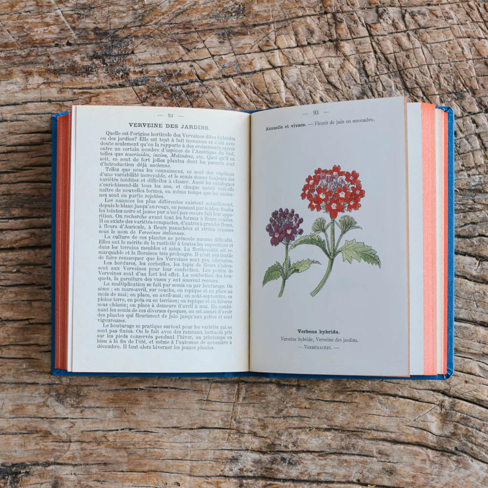 Livre Atlas - Fleurs de Jardins - Image 7