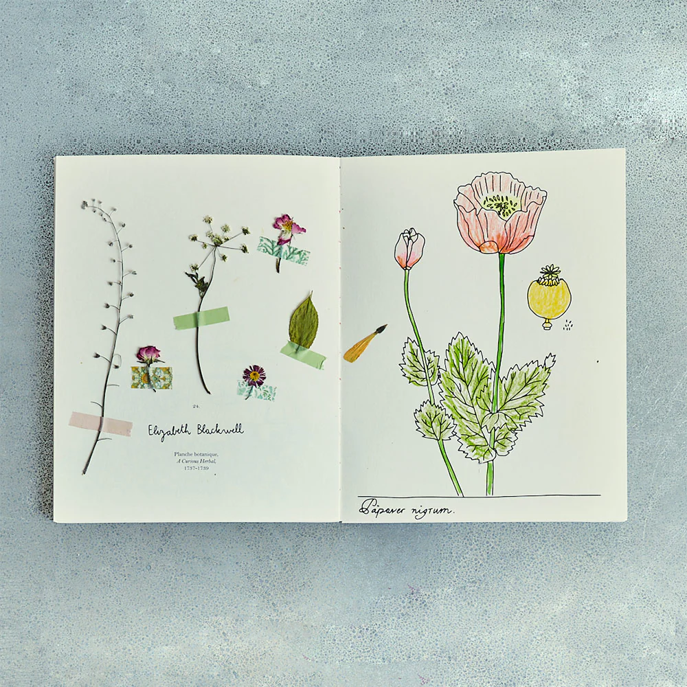 Livre - Fleurs de Zoé de las Cases - Image 2