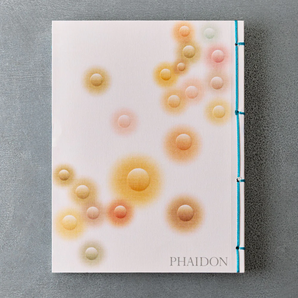 Livre - Iro - Image 4