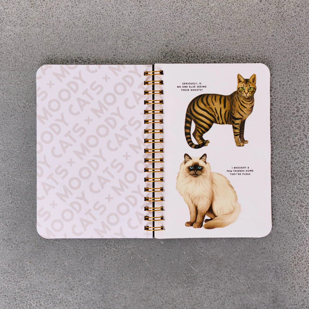 Livre - Moody Cats Stickers Book - Image 2