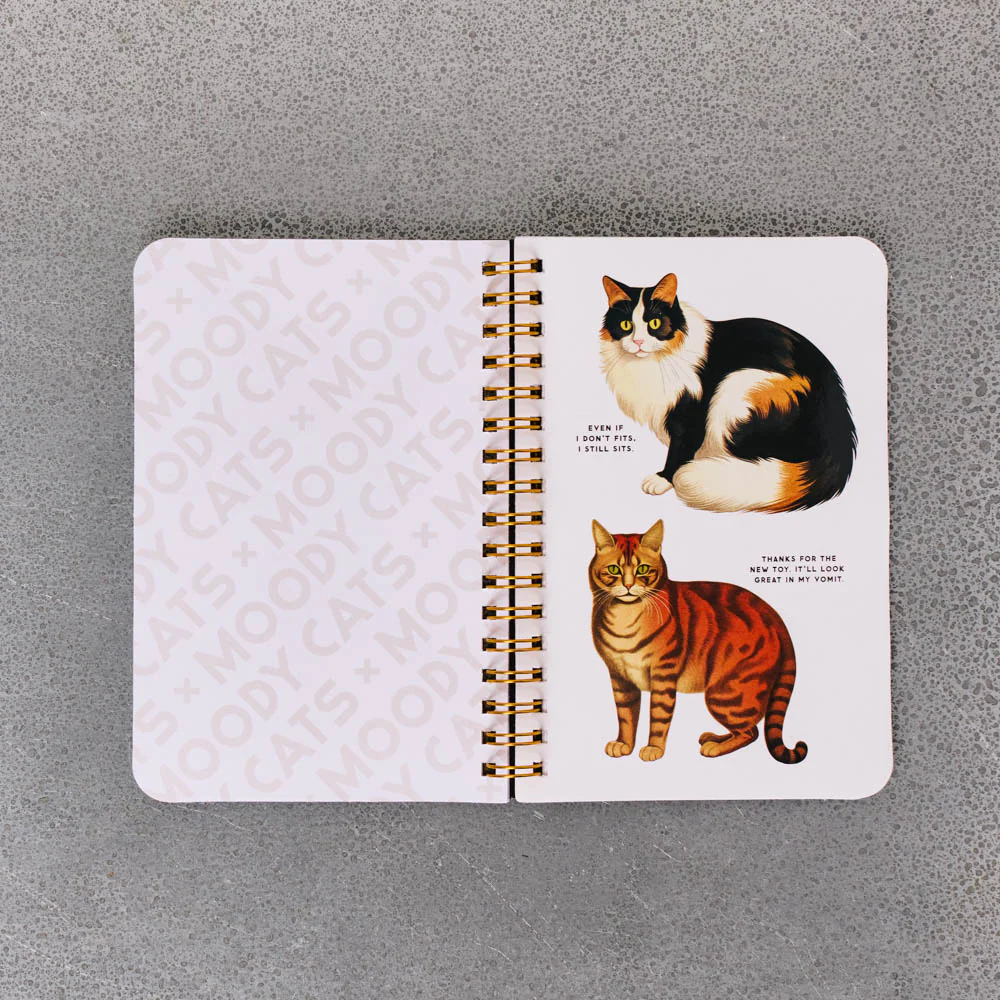 Livre - Moody Cats Stickers Book - Image 3