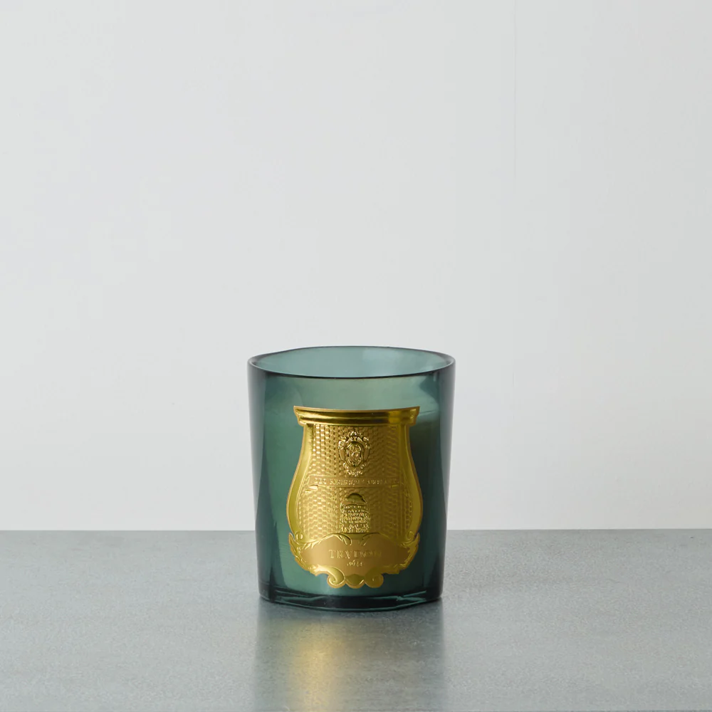 Trudon - Bougie parfumée Figuerie - 270G
